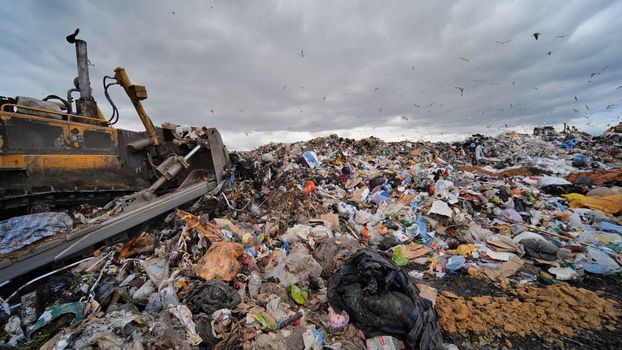 Work of a bulldozer at a landfill