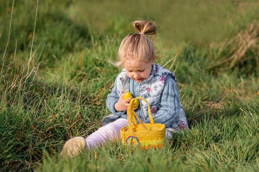 Girl collects chocolate eggs in a basket for Easter