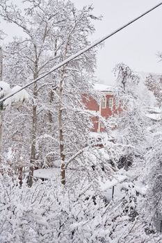 snow on the ground and trees in front of a red brick house with white trim around its branches, all covered up