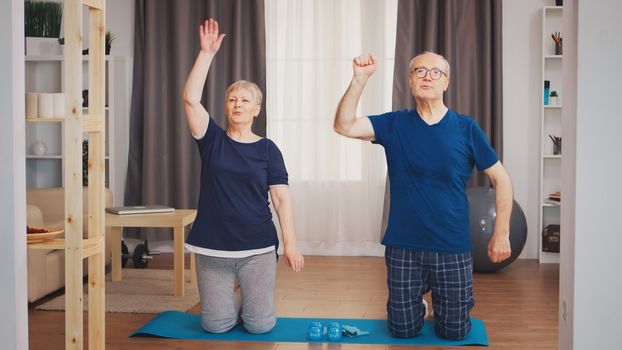 Senior couple enjoying their physical training together. Old person healthy lifestyle exercise at home, workout and training, sport activity at home