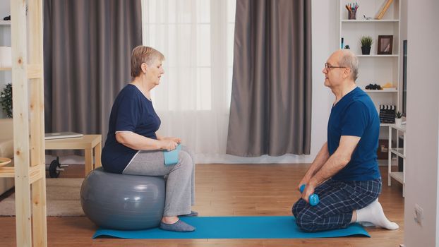 Senior couple exercising using yoga mat and stability ball. Old person healthy lifestyle exercise at home, workout and training, sport activity at home