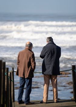 Back view of business people talking and enjoying view rest after their working day. Executives discussing about work standing outdoors against sea.