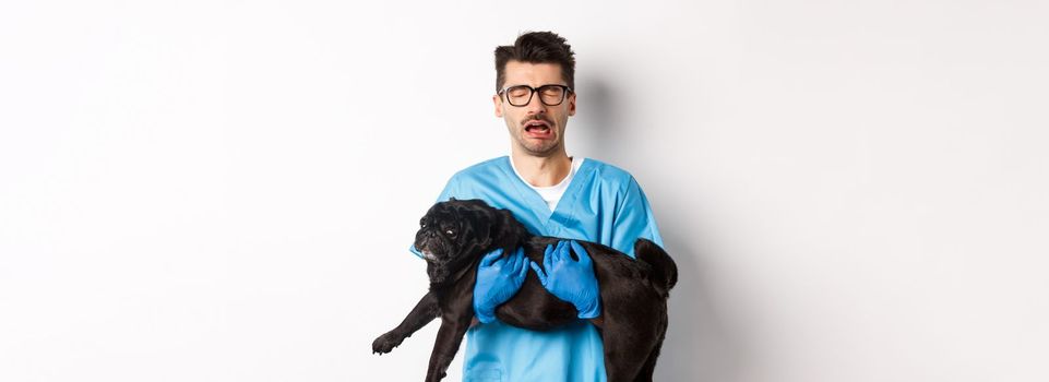 Vet clinic concept. Sad veterinarian holding black pug dog and crying, sobbing with miserable face, standing over white background.