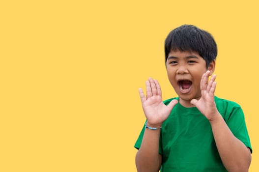 The boy wore a green shirt and stood smiling. on a yellow background