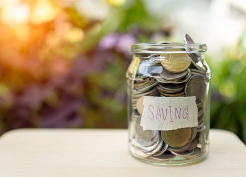 Coins in glass bottles on nature background. The concept of savings and investment.