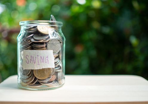 Piggy bank bottle with saving sign on natural bokeh background