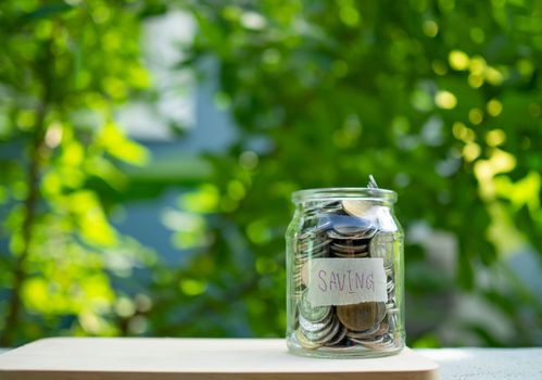 Piggy bank bottle with saving sign on natural bokeh background