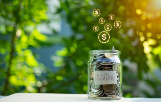 Coins in glass bottles on nature background. The concept of savings and investment.