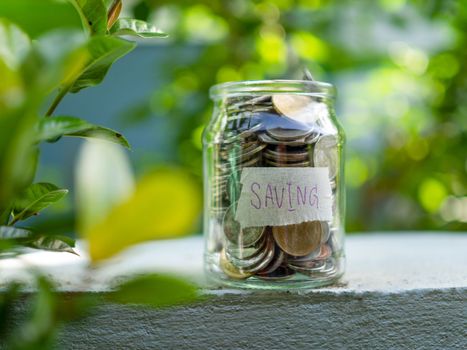 Coins in glass bottles on nature background. The concept of savings and investment.