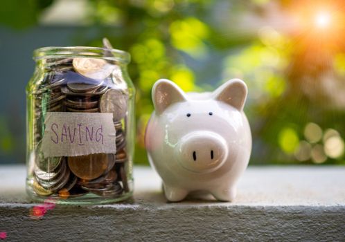 Piggy bank bottle with saving sign on natural bokeh background