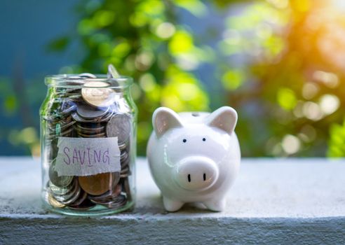 Piggy bank bottle with saving sign on natural bokeh background