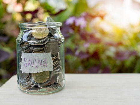 Coins in glass bottles on nature background. The concept of savings and investment.