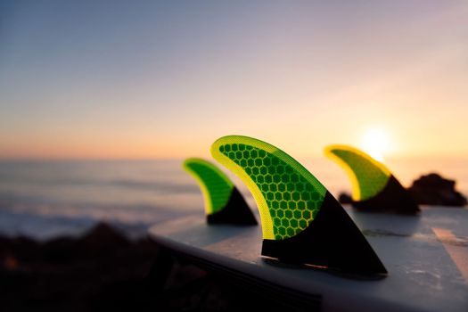 fins of a surfboard on the beach at sunset, leisure and hobbies concept, copy space for text