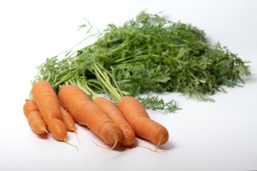 bunch of fresh carrots isolated on a white background