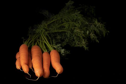 bunch of fresh carrots isolated on a black background