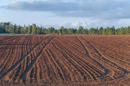 farmland with tractor tracks and a road with trees in the background