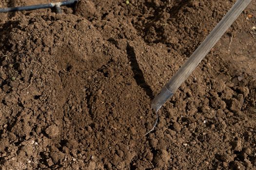 close-up of a shovel digging the soil of a vegetable garden