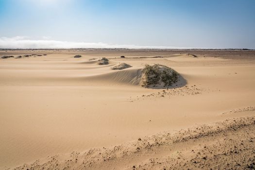 view of the Skeleton Coast desert dunes in Namibia in Africa.