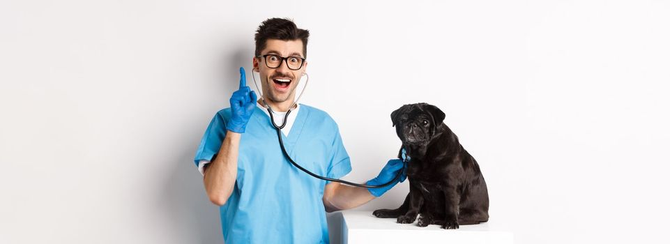 Excited male doctor veterinarian having an idea while examining cute pug dog with stethoscope, raising finger in eureka sign, white background.