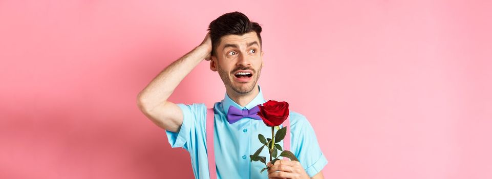 Nervous man waiting for his date on Valentines day, holding red rose and looking confused sideways, scratching head anxiously, standing on pink background.