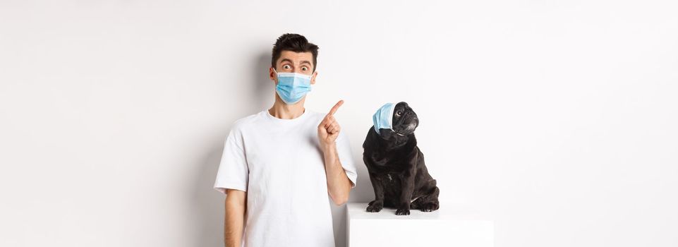 Covid-19, animals and quarantine concept. Dog owner and cute black pug wearing medical masks, man pointing and puppy staring at upper left corner, white background.