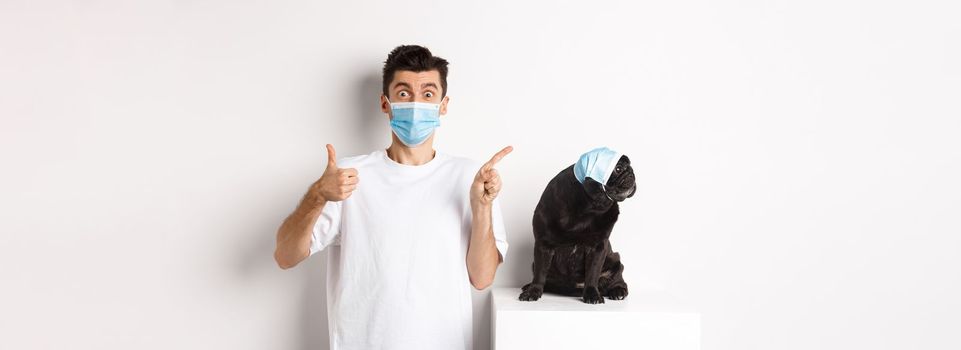 Covid-19, animals and quarantine concept. Young man and black dog wearing medical masks, pug looking at upper left corner and owner showing thumb-up to praise promo.