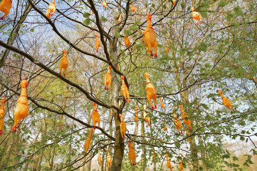 Hanging fake chicken on the trees