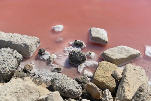 Aigues-Mortes, Salins du Midi salt farm with pink purple salty water