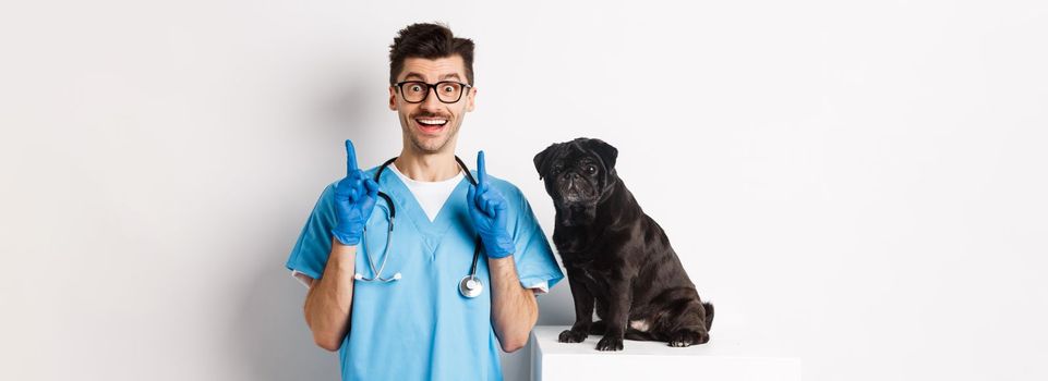 Handsome young doctor at vet clinic pointing finger up and smiling impressed, standing near cute black pug dog, white background.