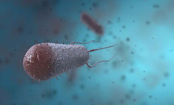 Bacillus is a gram-positive and spore-forming bacterium in the form of rods or rods. 3D illustration