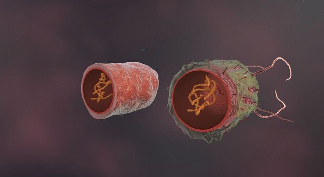 Bacteria are microscopic, single-celled organisms that exist in their millions, in every environment, both inside and outside other organisms. 3D illustration