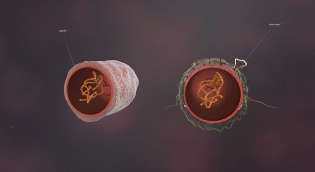 Bacteria are microscopic, single-celled organisms that exist in their millions, in every environment, both inside and outside other organisms. 3D illustration