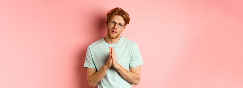 Redhead bearded guy begging for favour, holding hands in namaste gesture and asking for help, need something, standing over pink background.