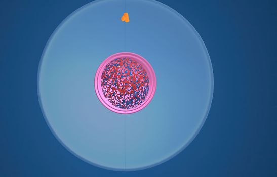 In cell biology, mitosis is a part of the cell cycle in which replicated chromosomes are separated into two new nuclei. 3D illustration