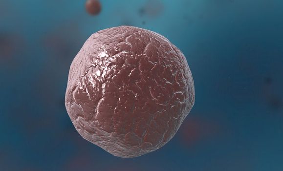 Bacteria are divided into three classes according to their shape: cocci (spherical), bacillus (rod-shaped) and spiral (there are two types: spirillum and spirochete). 3D illustration