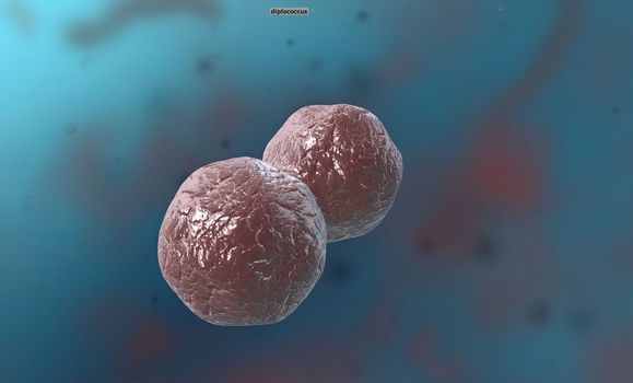 Bacteria are divided into three classes according to their shape: cocci (spherical), bacillus (rod-shaped) and spiral (there are two types: spirillum and spirochete). 3D illustration