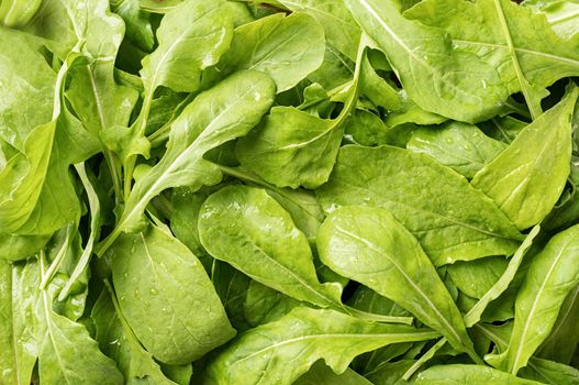 fresh green spinach texture