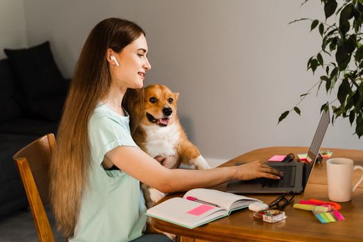 Girl chatting with friends online using laptop and showing her Corgi dog at home. Lifestyle with Welsh Corgi Pembroke. Video connection with family. Happy girl and domestic pet having fun together