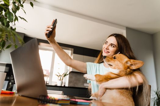 Freelancer girl with laptop making selfie making selfie with her Corgi dog. Girl have a break at work for making selfie with her domestic pet. Lifestyle of Welsh Corgi Pembroke pet