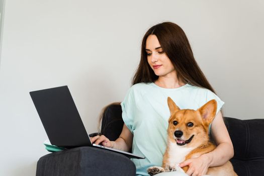 Attractive girl hug Corgi dog and have a rest at home. Girl and her domestic pet sit on the sofa and watching film on laptop together. Lifestyle with Welsh Corgi Pembroke