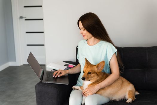 Attractive girl hug Corgi dog and have a rest at home. Girl and her domestic pet sit on the sofa and watching film on laptop together. Lifestyle with Welsh Corgi Pembroke