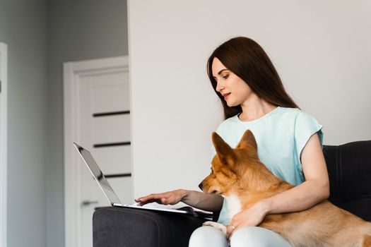 Attractive girl hug Corgi dog and have a rest at home. Girl and her domestic pet sit on the sofa and watching film on laptop together. Lifestyle with Welsh Corgi Pembroke