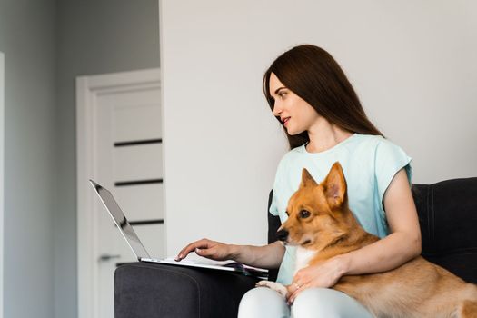 Attractive girl hug Corgi dog and have a rest at home. Girl and her domestic pet sit on the sofa and watching film on laptop together. Lifestyle with Welsh Corgi Pembroke