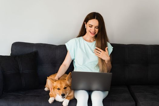 IT specialist girl with laptop and Corgi dog chat online with colleagues, gesticulates and explains creative concept of new project. Teamwork with Welsh Corgi Pembroke at home