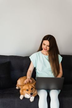 Lifestyle girl and Corgi dog. Girl with laptop petting her Welsh Corgi Pembroke dog at home. Busy young woman have a break and relax with her dog. Lifestyle with domestic pet