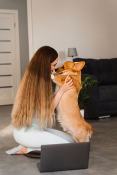 Girl with laptop hug and kiss Welsh Corgi Pembroke dog at home. Young woman have a break and relax with her dog. Lifestyle with domestic pet