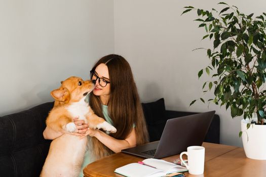 Programmer girl in glasses working on laptop and have a break to have fun with Welsh Corgi Pembroke dog at home. IT specialist woman hug and petting her lovely dog