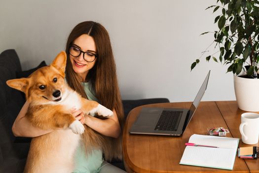 Programmer girl in glasses working on laptop and have a break to have fun with Welsh Corgi Pembroke dog at home. IT specialist woman hug and petting her lovely dog