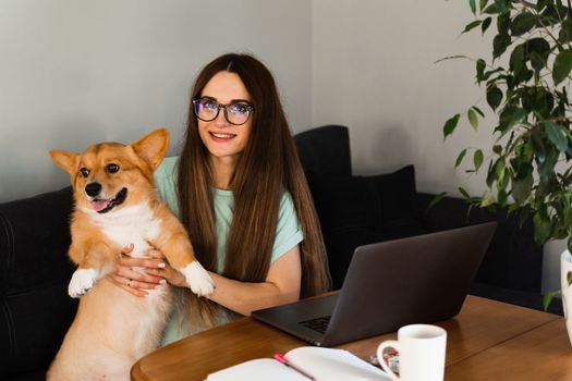 Programmer girl in glasses working on laptop and have a break to have fun with Welsh Corgi Pembroke dog at home. IT specialist woman hug and petting her lovely dog