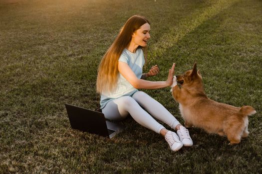 Lifestyle girl and Corgi dog outside. Girl with laptop petting her Welsh Corgi Pembroke dog on the grass. Busy young woman have a break and relax with her dog. Lifestyle with domestic pet